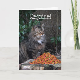 Katze mit einer Ostern-Wunder-Karte Feiertagskarte