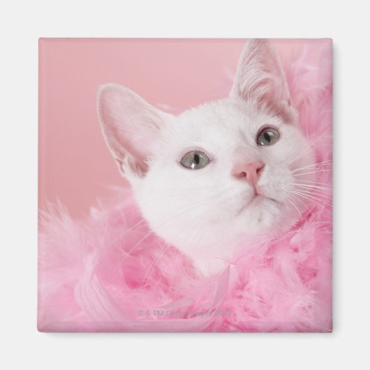 Katze mit Federbohne Magnet (Vorne)