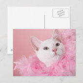 Katze mit Federbohne Postkarte (Vorne/Hinten)
