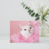 Katze mit Federbohne Postkarte (Stehend Vorderseite)