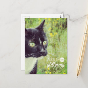 Katze mit funkelnden Augen beobachten Postkarte