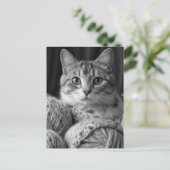 Katze mit Garnschwarz und Weiß Postkarte (Stehend Vorderseite)