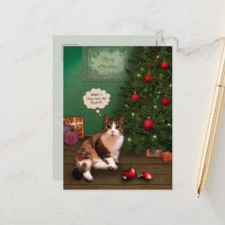 Katze mit gebrochenem Weihnachtsschmuck Feiertagspostkarte