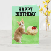 KATZE MIT GEBURTSTAG KAKE BIG GREETING CARD KARTE (Gelbe Blume)