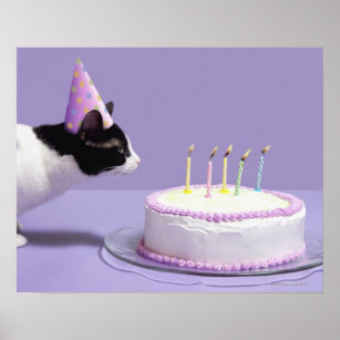 Katze mit Geburtstagshut, die Kerzen aufbläst Poster