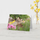 Katze mit Geranium Karte (Gelbe Blume)
