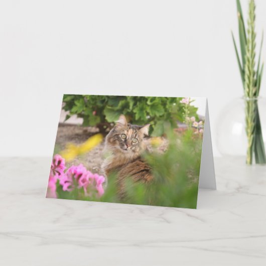 Katze mit Geranium Karte (Vorderseite)