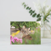 Katze mit Geranium Postkarte (Stehend Vorderseite)