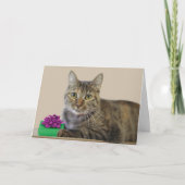 Katze mit Geschenk Geburtstagkarte Karte (Vorderseite)