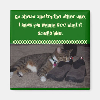 Katze mit Gesicht in Schuh Magnet