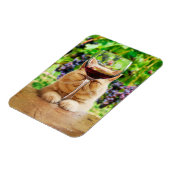 Katze mit Glas Wein Magnet (Linke Seite)