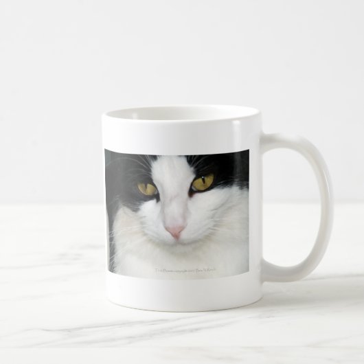Katze mit goldenen Augen Kaffeetasse (Rechts)