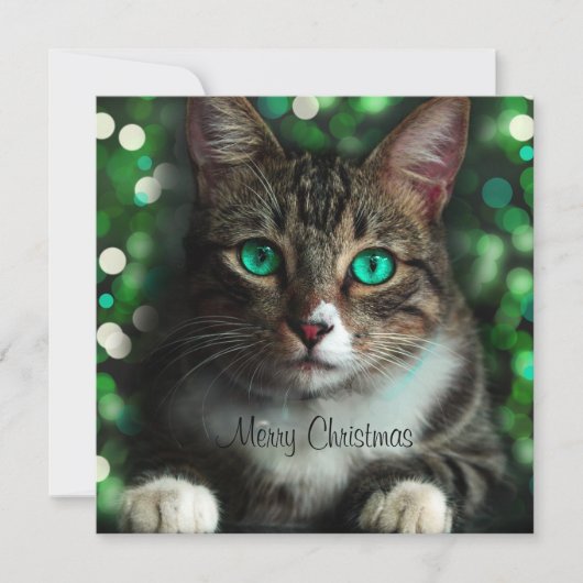Katze mit Green Eyes Flat Square Weihnachtskarte Einladung (Vorderseite)
