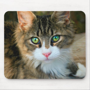 Katze mit grünen Augen Mousepad