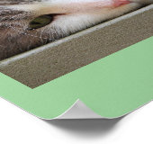 Katze mit grünen Augen Poster (Ecke)