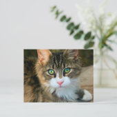 Katze mit grünen Augen Postkarte (Stehend Vorderseite)