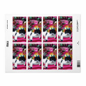 KATZE MIT HARLEQUIN HAT- UND MASQUERADE-PARTY (Vorne)