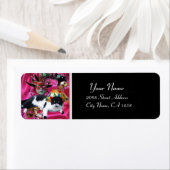 KATZE MIT HARLEQUIN HAT- UND MASQUERADE-PARTY (Insitu)