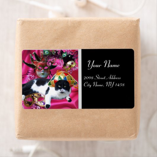 KATZE MIT HARLEQUIN HAT- UND MASQUERADE-PARTY (Insitu)