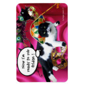 KATZE MIT HARLEQUIN HAT- UND MASQUERADE-PARTY MAGNET (Vertikal)