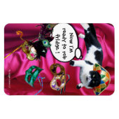 KATZE MIT HARLEQUIN HAT- UND MASQUERADE-PARTY MAGNET (Horizontal)