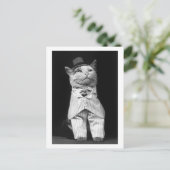 Katze mit Hut, 1906 Postkarte (Stehend Vorderseite)