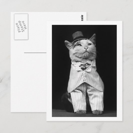 Katze mit Hut, 1906 Postkarte (Vorne/Hinten)