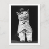Katze mit Hut, 1906 Postkarte (Vorderseite)