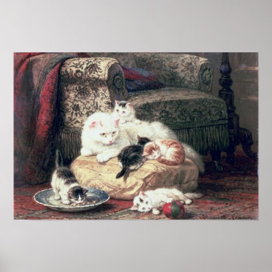 Katze mit ihren Kätzchen auf einem Kissen Poster (Vorne)