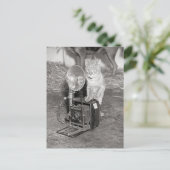 Katze mit Kamera, 1936 Postkarte (Stehend Vorderseite)