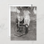 Katze mit Kamera, 1936 Postkarte (Vorne/Hinten)