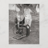 Katze mit Kamera, 1936 Postkarte (Vorderseite)