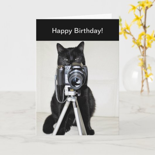 Katze mit Kamera Karte (Gelbe Blume)