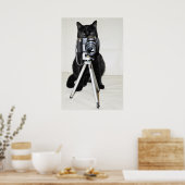 Katze mit Kamera - Plakat (Küche)