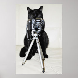 Katze mit Kamera - Plakat