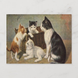 Katze mit Kätzchen im Korb Vintag Postkarte des 19