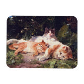 Katze mit Kittens Fine Art Magnet (Horizontal)