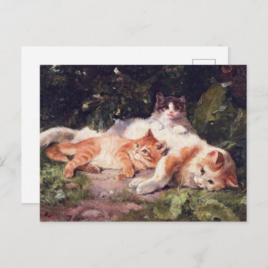 Katze mit Kittens Fine Art Postkarte (Vorne/Hinten)