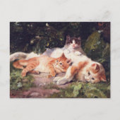 Katze mit Kittens Fine Art Postkarte (Vorderseite)