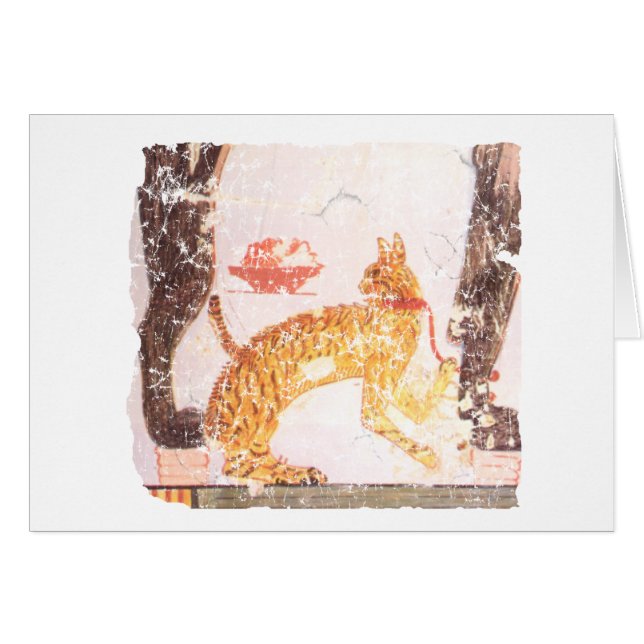 Katze mit Kragen (Vorderseite (Horizontal))