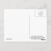 Katze mit Kupferaugen/ Katzenlängen Postkarte (Rückseite)