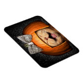 Katze mit Kürbishaar Magnet (Rechte Seite)