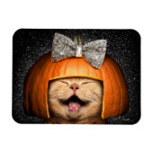 Katze mit Kürbishaar Magnet (Horizontal)