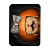 Katze mit Kürbishaar Magnet (Vertikal)