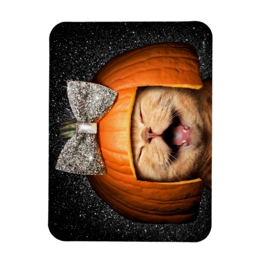 Katze mit Kürbishaar Magnet (Vertikal)