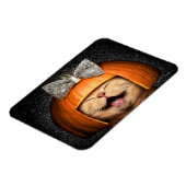 Katze mit Kürbishaar Magnet (Linke Seite)