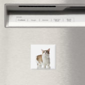 Katze mit kurzen Füßen Magnet (In Situ (Geschirrspüler))