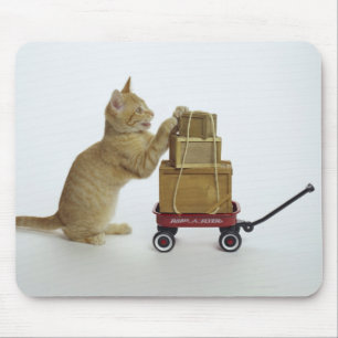 Katze mit Lastwagen und Kästen Mousepad