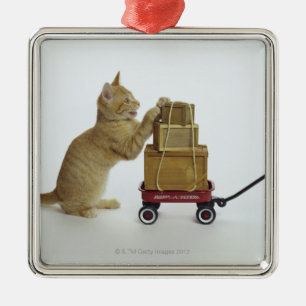 Katze mit Lastwagen und Kästen Ornament Aus Metall