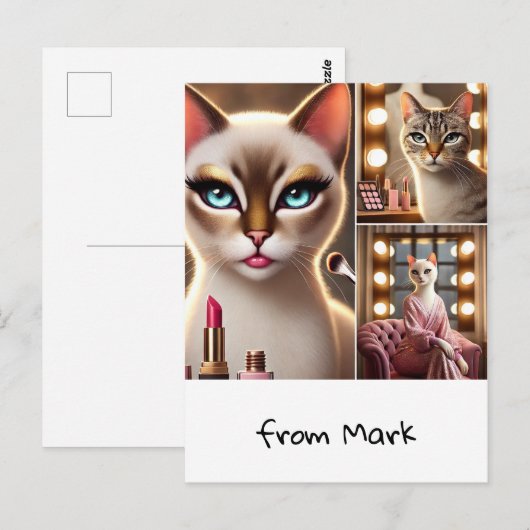 Katze mit Make-up-Ausrüstung Postkarte (Vorne/Hinten)